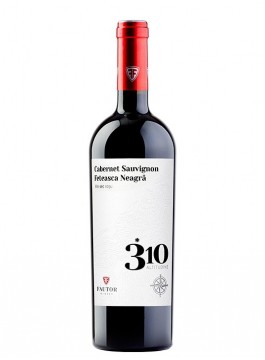 Fautor 310 Altitudine Cabernet Sauvignon & Feteasca Neagra - Vin rosu sec 0.75l