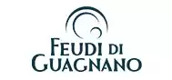 Feudi di Guagnano
