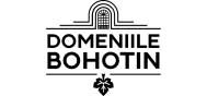 Domeniile Bohotin