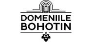 Domeniile Bohotin